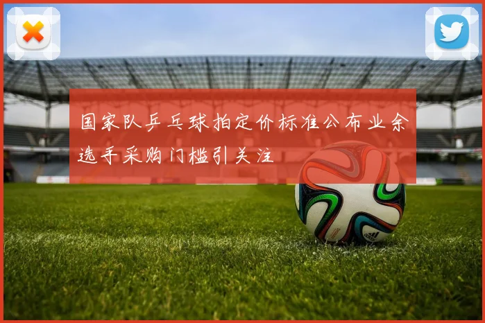 国家队乒乓球拍定价标准公布业余选手采购门槛引关注