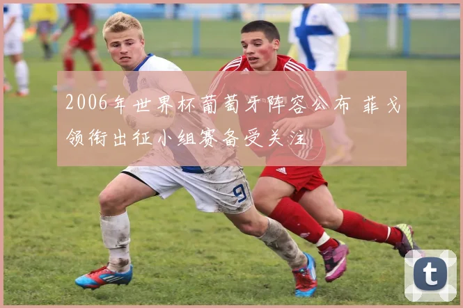 2006年世界杯葡萄牙阵容公布 菲戈领衔出征小组赛备受关注